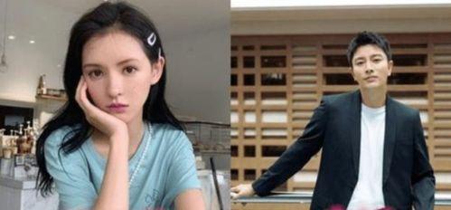 娱乐圈老板吃瓜视频下载,吃瓜视频背后的真相与幕后故事