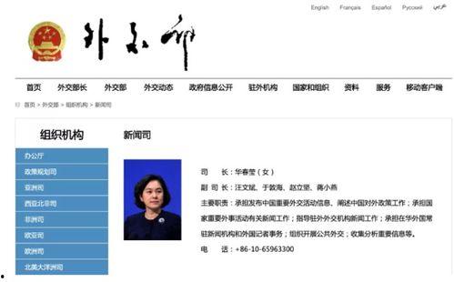 蒋小燕最新爆料新闻报道,揭秘事件背后惊人真相